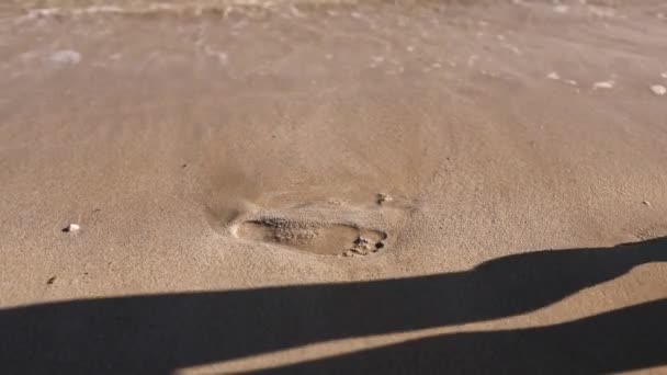 Piedi nudi di una ragazza che cammina lungo il mare lasciando impronte — Video Stock