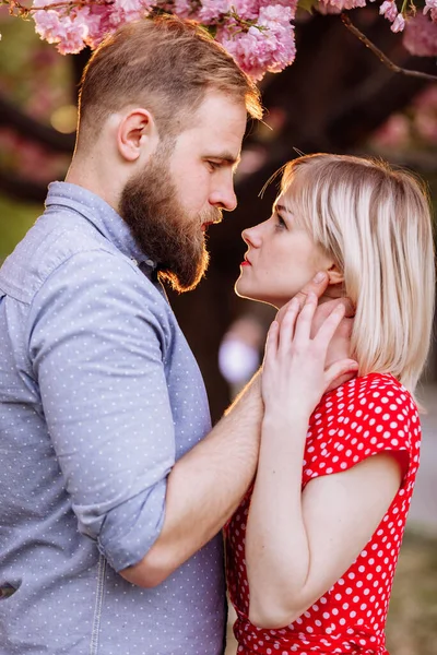 Amantes Elegantes Perto Sakura Florescente Belo Jovem Casal Homem Com — Fotografia de Stock