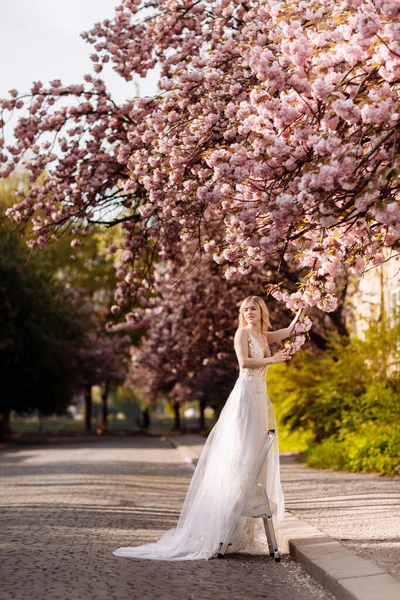 Női Nap Gyönyörű Fiatal Luxus Hosszú Ruha Közelében Virágzó Sakura — Stock Fotó