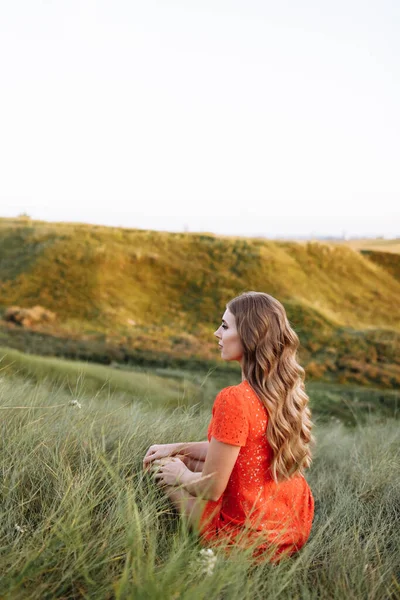 Portret Van Een Mooie Vrouw Zit Groen Gras Het Veld — Stockfoto