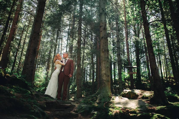 Glückliches Stilvolles Brautpaar Grünen Wald Einem Sommertag Braut Langen Weißen — Stockfoto