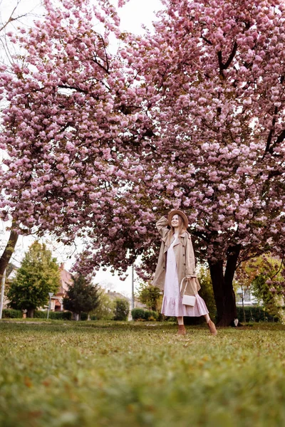 Kvinnodagen Vacker Kvinna Nära Sakuraträden Kvinna Hatt Klänning Och Snygg — Stockfoto