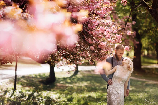 活泼的新婚夫妇 新郎和新娘拥抱着绽放的粉色樱花 一个笑容可亲的新郎和一个可爱的新娘的婚纱照 — 图库照片