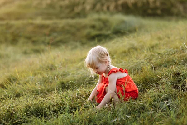 Portrét Malé Krásné Dívky Červených Šatech Přírodě Letní Prázdniny Hraní — Stock fotografie