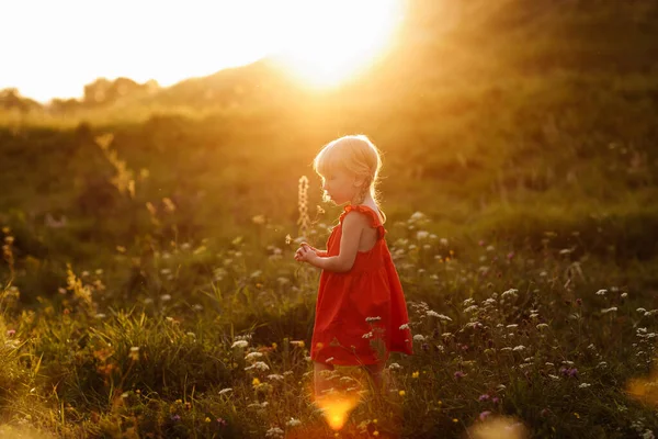 夏休みに自然の中で赤いドレスを着た小さな美しい少女の肖像画 日没時の緑のフィールドでの演奏 閉めろ 家族の休日と時間の概念 — ストック写真