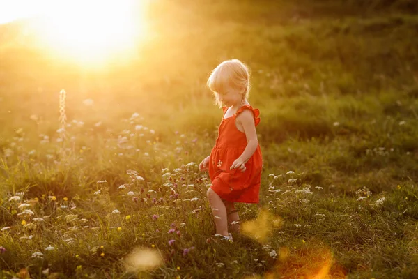 Porträtt Liten Vacker Flicka Röd Klänning Naturen Sommarsemester Spelet Det — Stockfoto