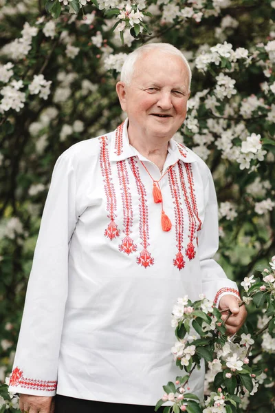 Elderly man in embroidered ethnic shirt in nature. Ukrainian traditional clothes.