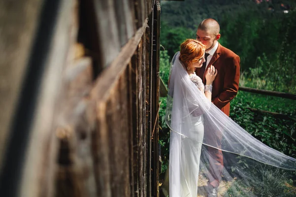 Hochzeitspaar Den Bergen Der Bräutigam Und Die Braut Umarmen Sich — Stockfoto