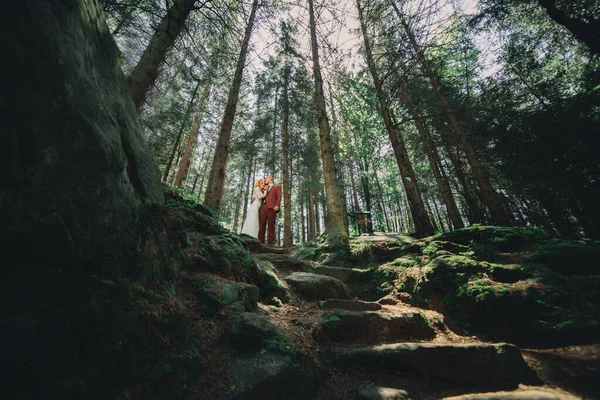 Glückliches Stilvolles Brautpaar Grünen Wald Einem Sommertag Braut Langen Weißen — Stockfoto