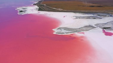 Ukrayna 'da kopyalanmış küçük adaları olan tuzlu deniz manzaralı pembe göle.