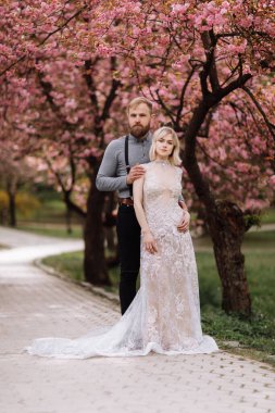 Güzel, neşeli ve hayat dolu yeni evliler, damat ve gelin çiçek açan pembe kiraz çiçeğinin yanında sarılıyorlar. Gülümseyen sakallı bir damat ve güzel bir gelinin düğün portresi..