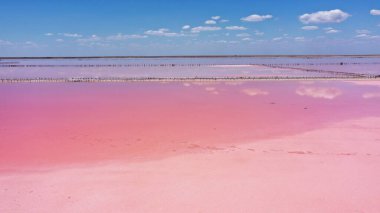 Ukrayna 'nın Odessa şehrinde doğal pembe bir göl ve mavi bir gökyüzü olan Kuyalnik' in havadan çekilmiş resmi. Göl doğal olarak tuzlar ve sudaki küçük kabuklu deniz ürünleri yüzünden pembeleşir. Bu mucize çok nadirdir..