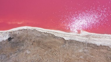 Ukrayna 'nın Genichesk kıyısında, doğal pembe bir gölün havadan çekilmiş resmi. Göl doğal olarak tuzlar ve sudaki küçük kabuklu deniz ürünleri yüzünden pembeleşir. Bu mucize çok nadirdir.