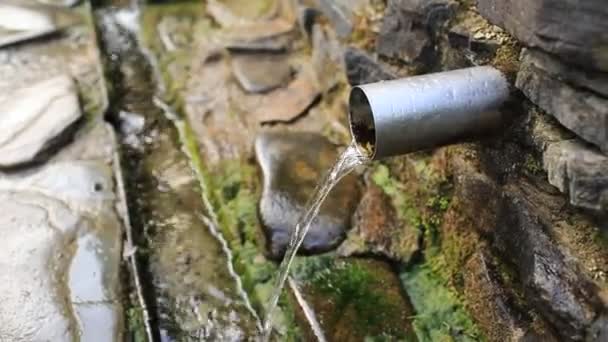 Quellwasser strömt aus einem Metallrohr von einer Steinmauer in den Wäldern in den Bergen — Stockvideo