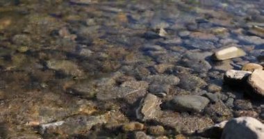 Vahşi Dağ Nehri, Berrak Nehir 'i kapatın. Taştan kayaların aktığı Gevezelik Deresi 'nin detaylı görüntüsü. Swift Sulama Suyu 'nda Rock Rapid. Ukrayna, Karpatyalı. Görüntü 4K 'da çekildi