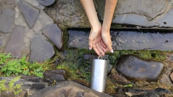 Kvinnliga händer plockar källvatten. kvinna dricker vatten från källan som rinner från berget bland vegetationen i skogen i naturen — Stockvideo