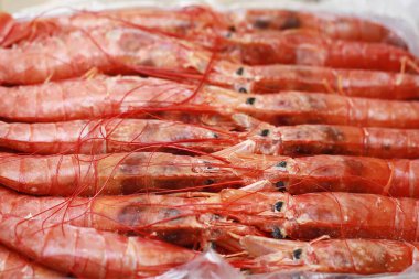 Çiğ kırmızı langoustines, Nephrops norvegicus, Norveç ıstakozu, Dublin Körfezi karidesi ya da karidesleri kapatıyoruz.