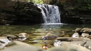 Dağlardaki ormandaki şelale Ukrayna 'daki Karpat Dağları' nın vahşi doğası.
