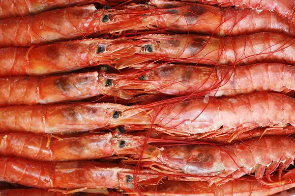 Menutup Segar Langoustines Merah Mentah Nephrops Norvegicus Norwegia Lobster Dublin — Stok Foto