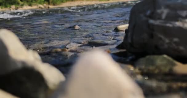 Rivière Wild Mountain Fermer Abondance Clear Stream. Détail Prise de vue statique du ruisseau Babbling avec des blocs de pierre qui coulent. Rock Rapid in Swift Splashing Water. Ukraine, Carpates. Tournage en 4K — Video