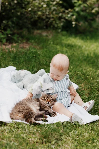 Menino bonito sentado em cobertor branco na grama verde no verão, em um dia ensolarado, brincando com um gato. Foco seletivo, espaço para texto — Fotografia de Stock