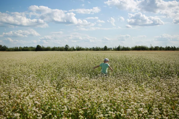 Neşeli çocuk çiçekli çayırda oynuyor. Çocuk açık havada eğleniyor. Yaz, tatil, çocukluk kavramı