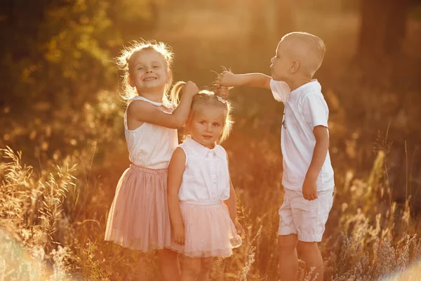 Two Sisters Brother Playing Hugging Field Summer Children Playing Outdoors — Stockfoto