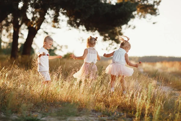 Três Crianças Brincando Campo Verão Crianças Pequenas Brincando Livre Sorrindo — Fotografia de Stock