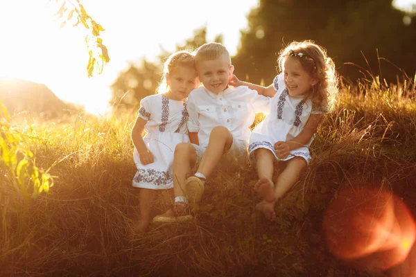 Niños Niños Niñas Están Jugando Bromeando Divirtiéndose Atardecer Parque Hierba — Foto de Stock