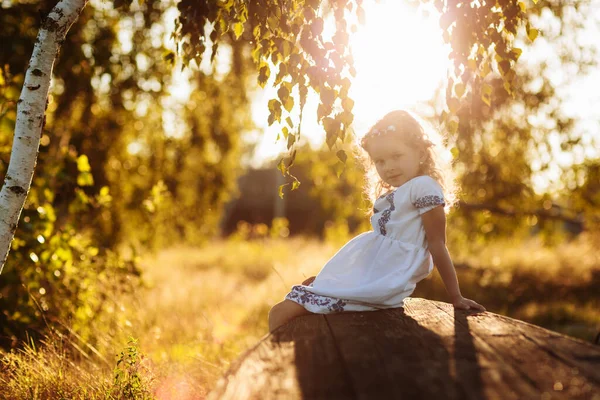 夏天日落的时候 穿着白衣头戴花环的小女孩在美丽的大自然的背景下 选择性重点 — 图库照片