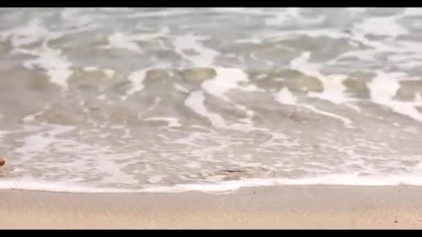 砂浜の海の波に沿って歩く女性の足。きれいな女性が海辺の波に乗って歩いている。水と泡のスプラッシュ。夏休み — ストック動画
