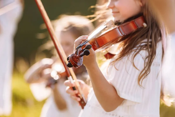 夏祭りの間に屋外で遊んでいる若い女の子のバイオリンで選択的な焦点 — ストック写真
