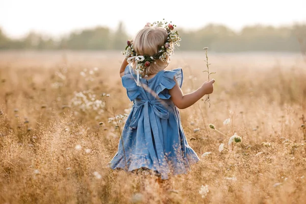 女の子は夏の晴れた日に畑で頭に花の花輪を着ています 青い服を着た赤ん坊 屋外で愛らしい小さな子供の肖像画 子供の頃の幸せな休日 バックビュー — ストック写真