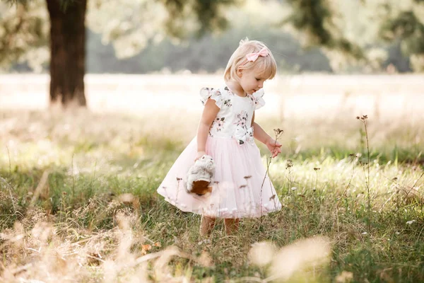 Retrato Uma Menina Bonita Natureza Férias Verão Criança Vestido Está — Fotografia de Stock
