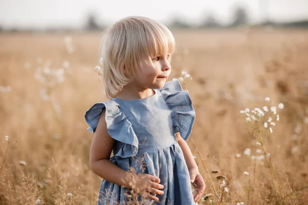 Das Kleine Mädchen Trägt Einem Sonnigen Sommertag Ein Blaues Kleid — Stockfoto