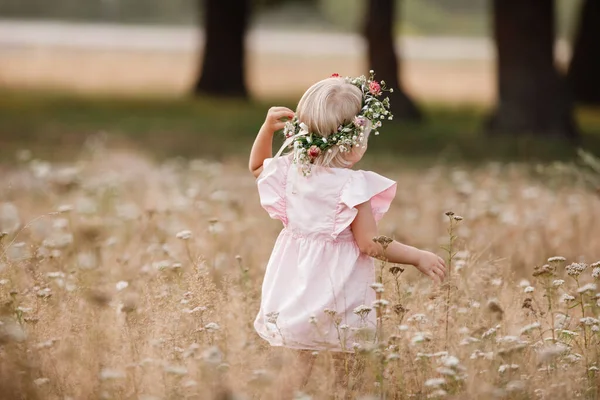 夏休みに自然の中で小さな美しい女の子の肖像画 赤いドレスの子供は日没時に緑の芝生で遊んでいます 家族の休日と時間の概念 — ストック写真
