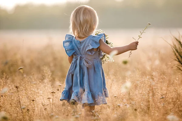 Menina está vestindo em um vestido azul em um campo no verão dia ensolarado. Retrato de uma criança adorável ao ar livre. infância feliz férias. vista para trás. — Fotografia de Stock