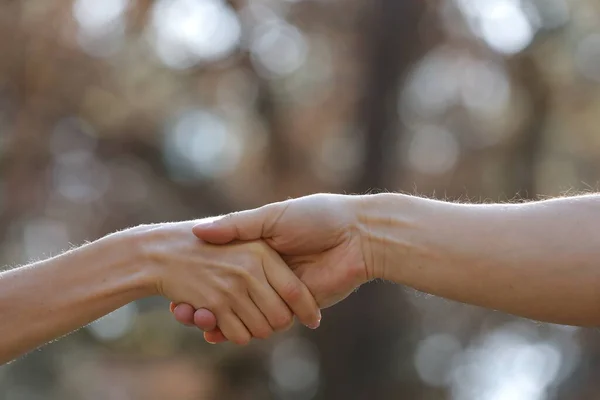 Handshake Two People Nature Background Close Female Male Holding Hands — Stock Photo, Image