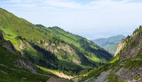 Mynzhelki vară — Fotografie, imagine de stoc