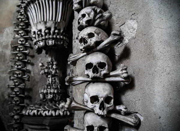 insan kafatasları ve kemikleri