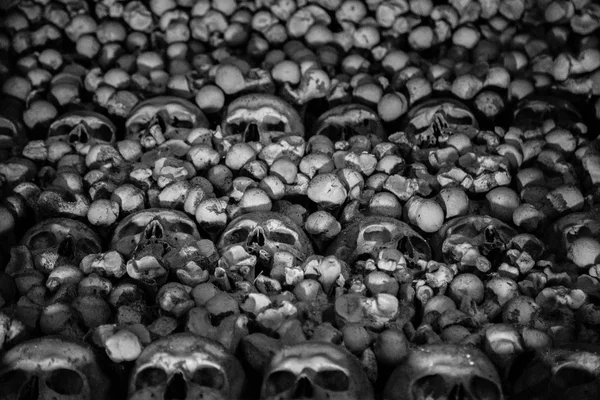 insan kafatasları ve kemikleri