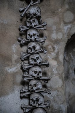 kafatasları ve kemikleri