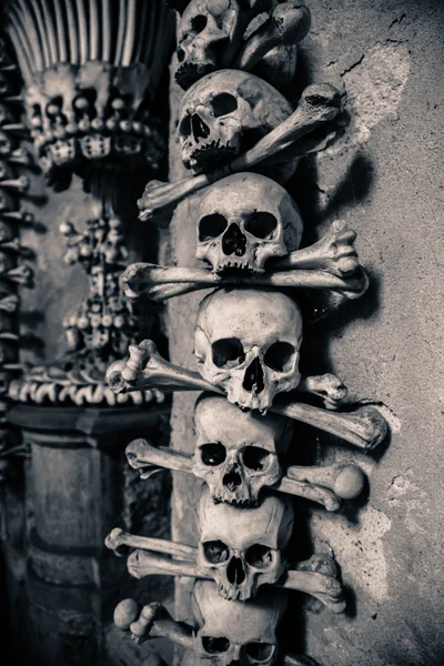 kafatasları ve kemikleri