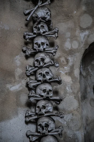 kafatasları ve kemikleri