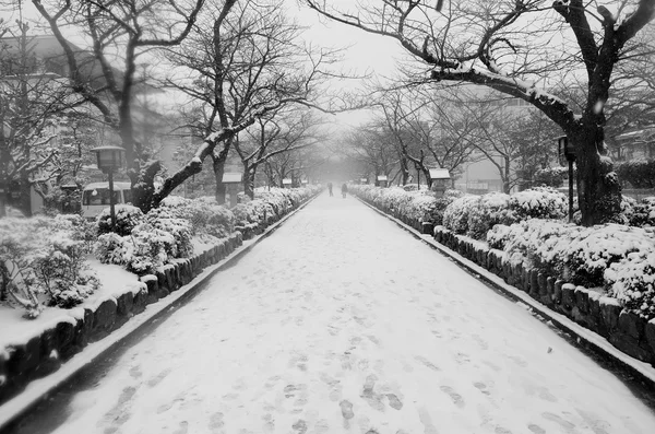 Zima v Japonsku — Stock fotografie