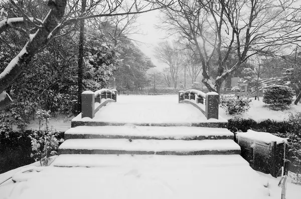 Vinter i japan — Stockfoto