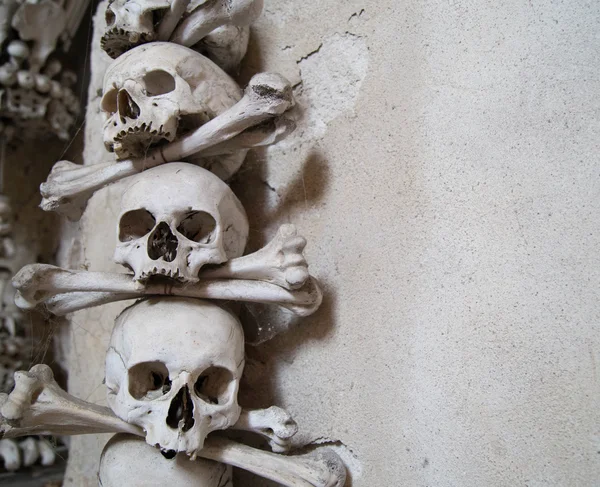 kafatasları ve kemikleri