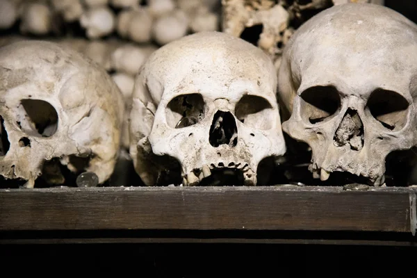 kafatasları ve kemikleri