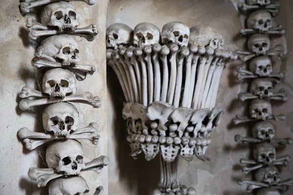 kafatasları ve kemikleri