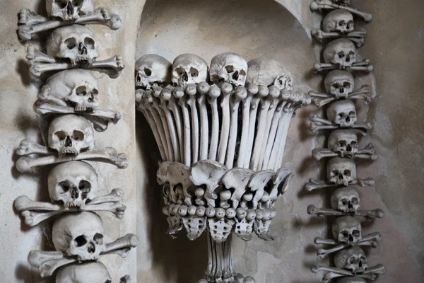 두개골과 뼈 — 스톡 사진
